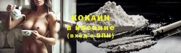 гидра Надым