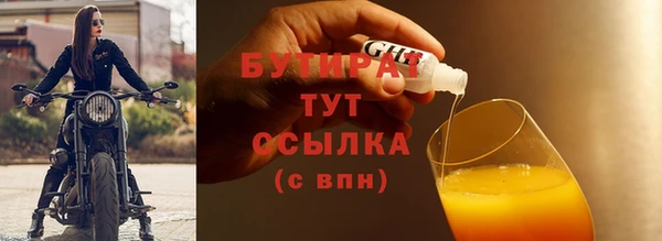 гидра Надым