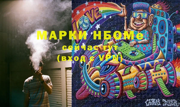 индика Вяземский