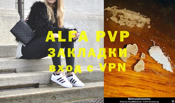 гидра Надым