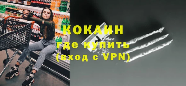 гидра Надым