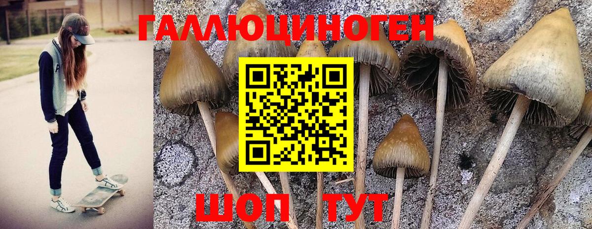 Владивосток  Галлюциногенные грибы Magic Shrooms  Вход с VPN 