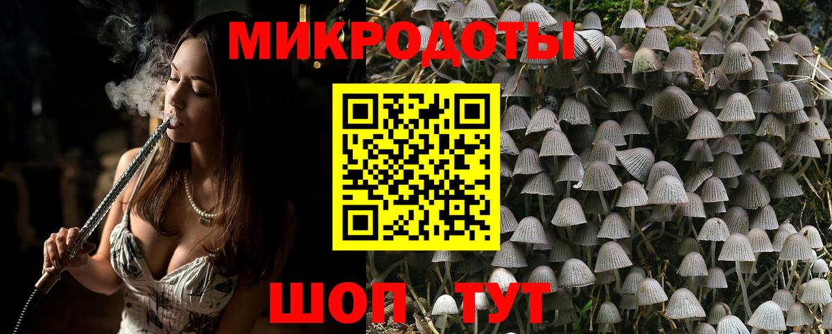 дарнет шоп  Галлюциногенные грибы Psilocybe  Владивосток  Псилоцибиновые грибы мицелий 
