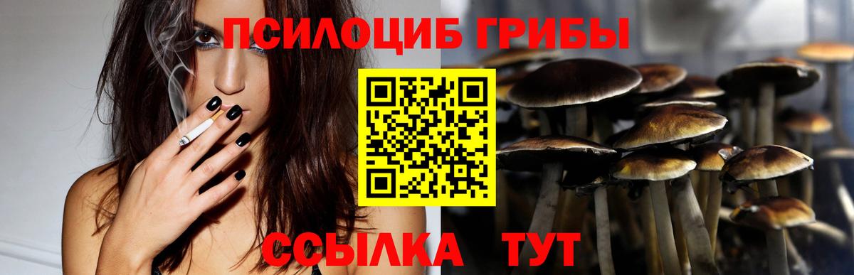 Галлюциногенные грибы Psilocybine cubensis Владивосток